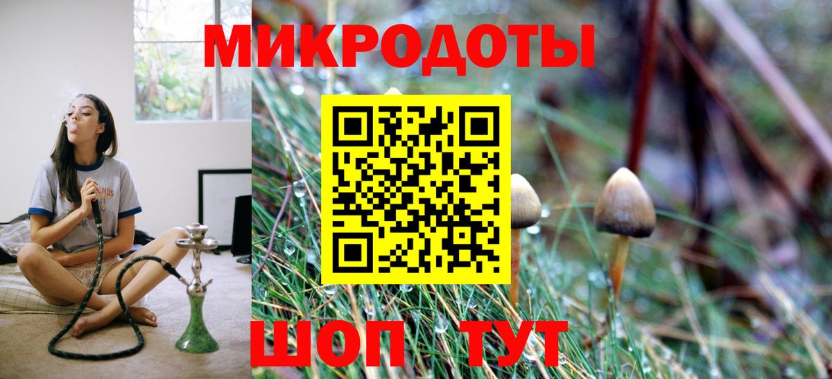 Галлюциногенные грибы Magic Shrooms  что такое   Видное  Вход с VPN 